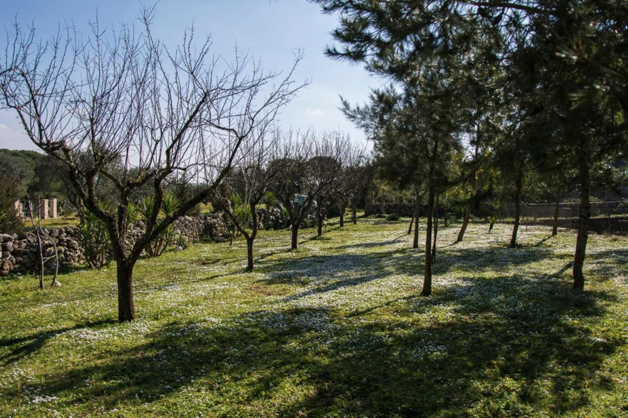 Casale Sombrino Guest House Supersano Luaran gambar