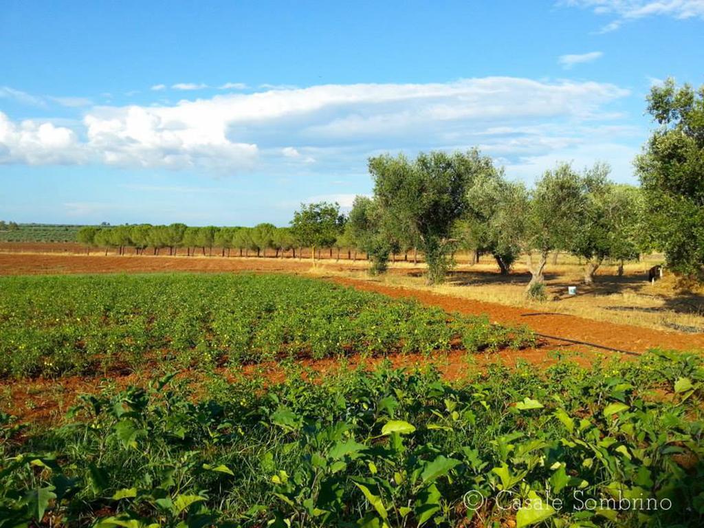 Casale Sombrino Guest House Supersano Luaran gambar