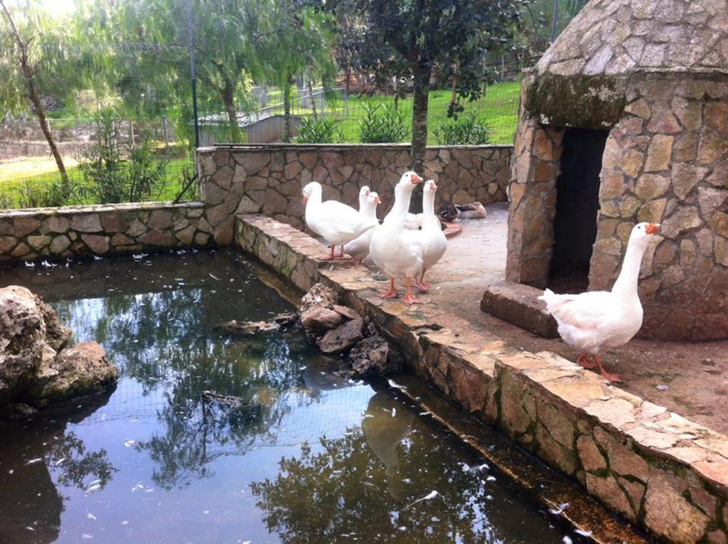 Casale Sombrino Guest House Supersano Luaran gambar