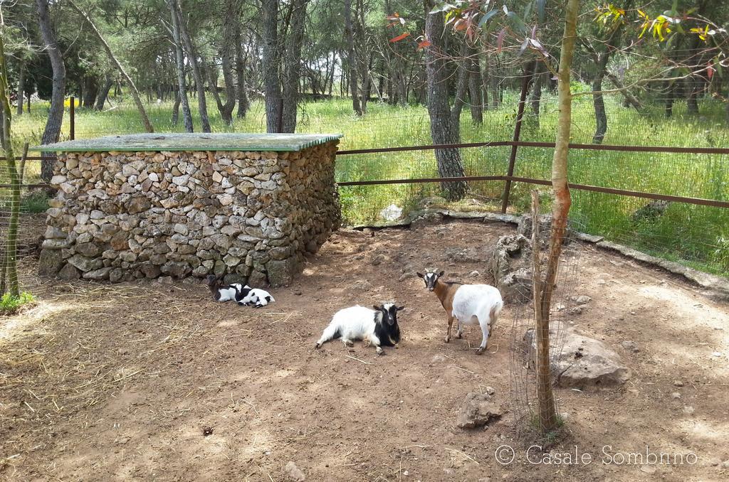 Casale Sombrino Guest House Supersano Luaran gambar